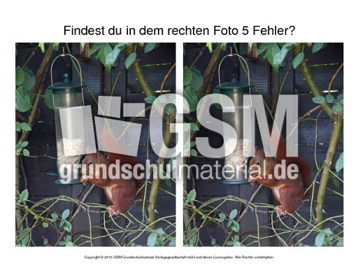 Fehlersuche-Eichhörnchen-Foto-4.pdf
